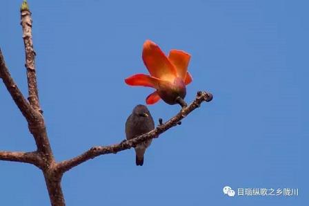 金喜体育登录网址_友情推荐：多多28官网