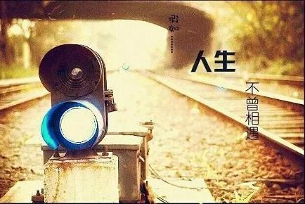 ob在哪个平台直播好